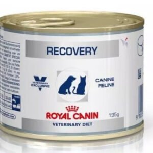 Royal Canin Latas Recovery (perros y gatos)
