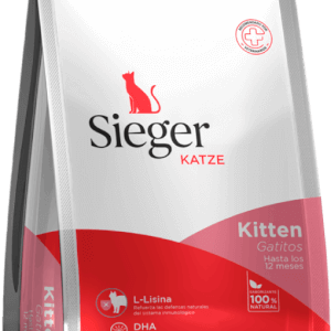 Sieger Katze Gatito