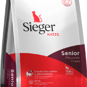 Sieger Gato Katze Senior